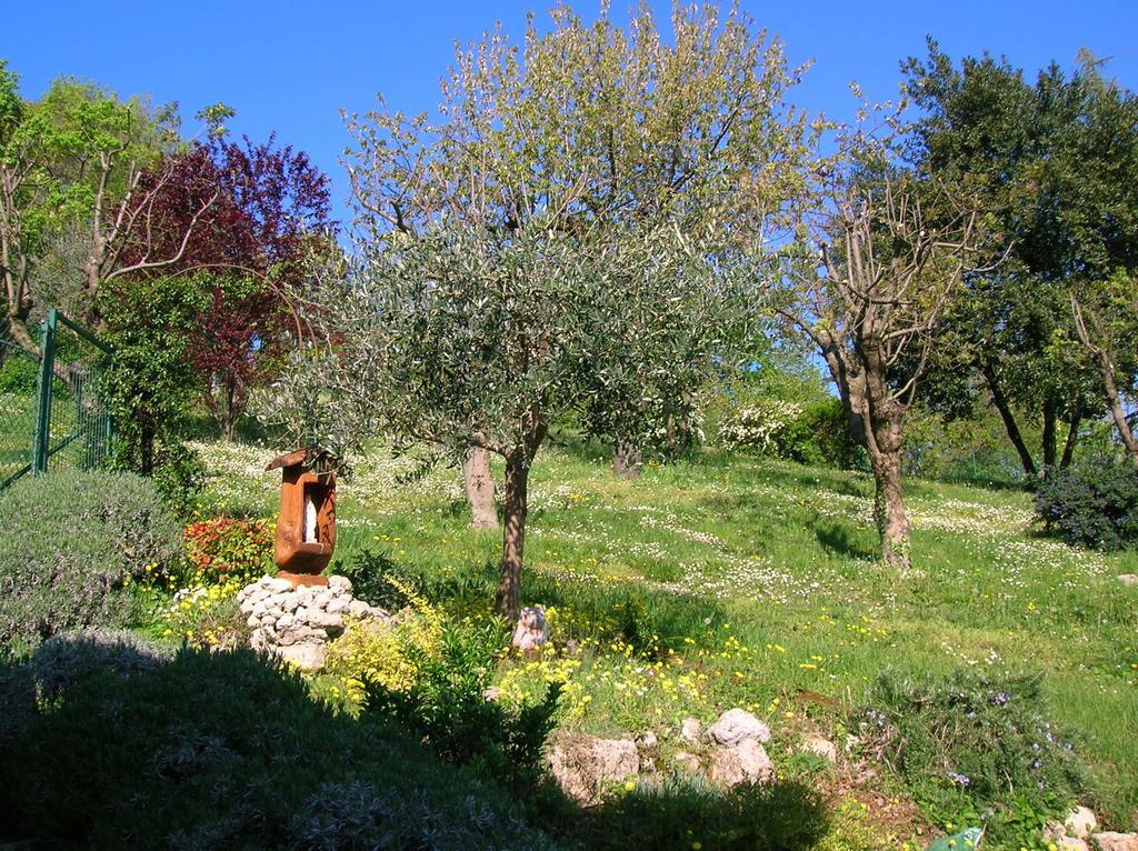 B&B Il Suono Del Bosco Arcugnano Exterior foto