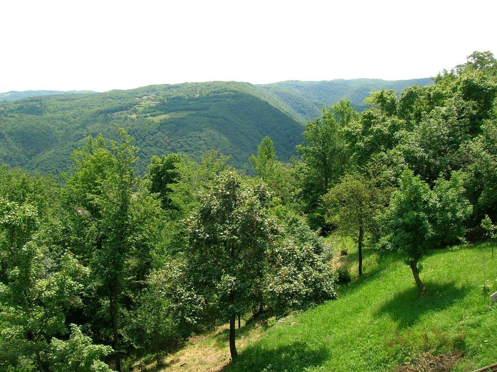 B&B Il Suono Del Bosco Arcugnano Exterior foto